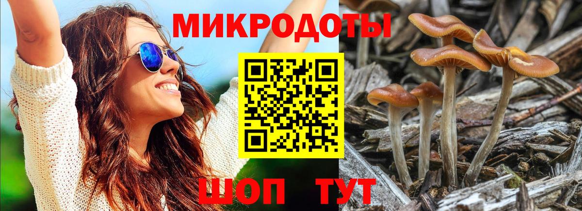 Таганрог  Галлюциногенные грибы GOLDEN TEACHER  Псилоцибиновые грибы мицелий  Вход с VPN 